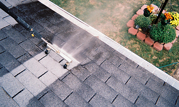 Roof Cleaning in Salt Lake City UT Roof Cleaning Services in Salt Lake City UT Roof Cleaning in UT Salt Lake City Clean the roof in Salt Lake City UT Roof Cleaner in Salt Lake City UT Roof Cleaner in UT Salt Lake City Quality Roof Cleaning in Salt Lake City UT Quality Roof Cleaning in UT Salt Lake City Professional Roof Cleaning in Salt Lake City UT Professional Roof Cleaning in UT Salt Lake City Roof Services in Salt Lake City UT Roof Services in UT Salt Lake City Roofing in Salt Lake City UT Roofing in UT Salt Lake City Clean the roof in Salt Lake City UT Cheap Roof Cleaning in Salt Lake City UT Cheap Roof Cleaning in UT Salt Lake City Estimates on Roof Cleaning in Salt Lake City UT Estimates in Roof Cleaning in UT Salt Lake City Free Estimates in Roof Cleaning in Salt Lake City UT Free Estimates in Roof Cleaning in UT Salt Lake City